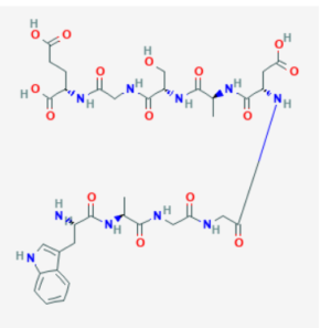 dsip structure