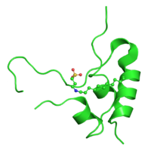 igf1-structure