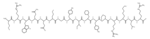 mots-c-structure